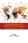 Michigan Guidelines on the International Protection of Refugees by James C. Hathaway